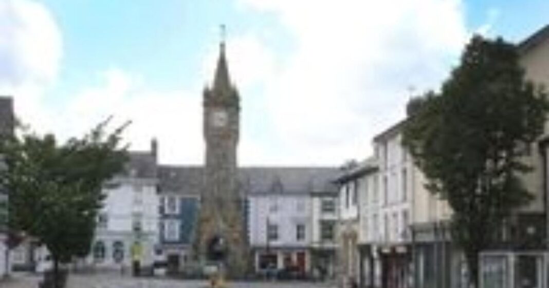 Have your say on the future of street trees in Machynlleth